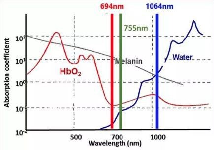 Absorption of lasers of different wavelengths on human target cells