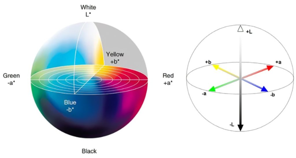 CIE Lab color space defines skin color